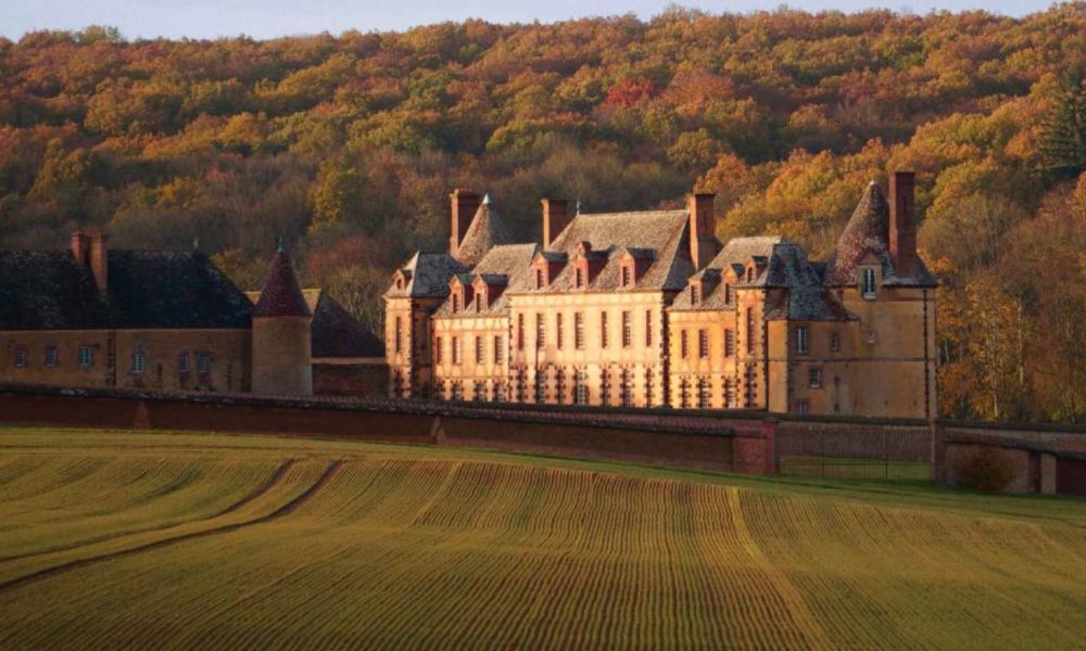 This is an image of a house in among winery fields and trees. There is a golden sunlight casting on to the buildings.