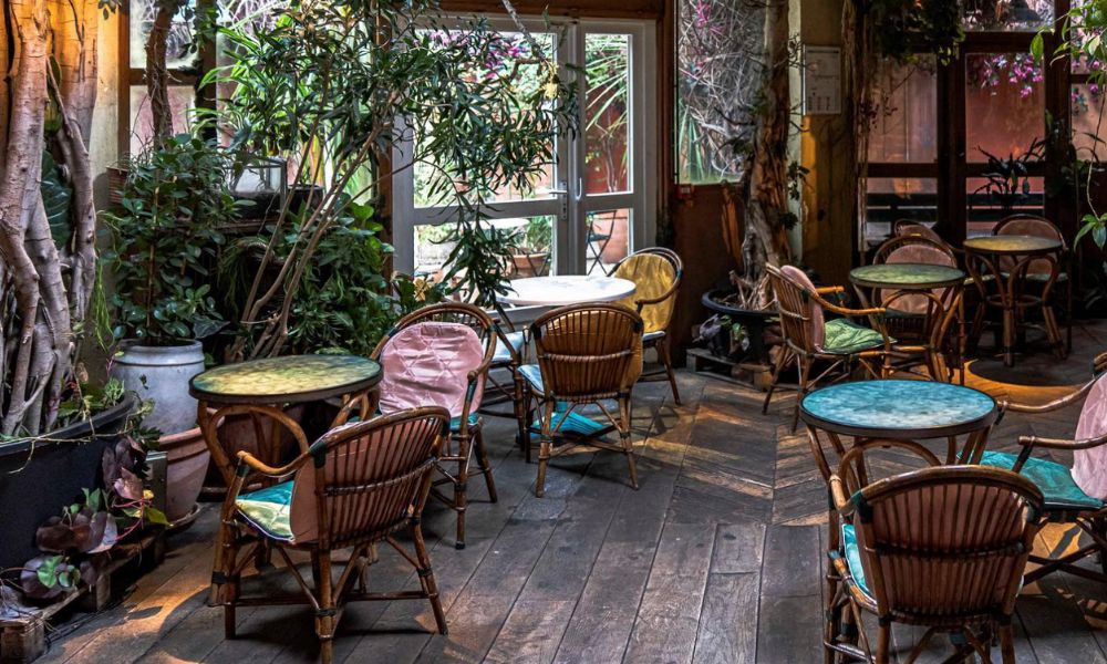 This is an image of a rustic cafe with wooden chairs and tables set around the room, as well as plenty of green plants.