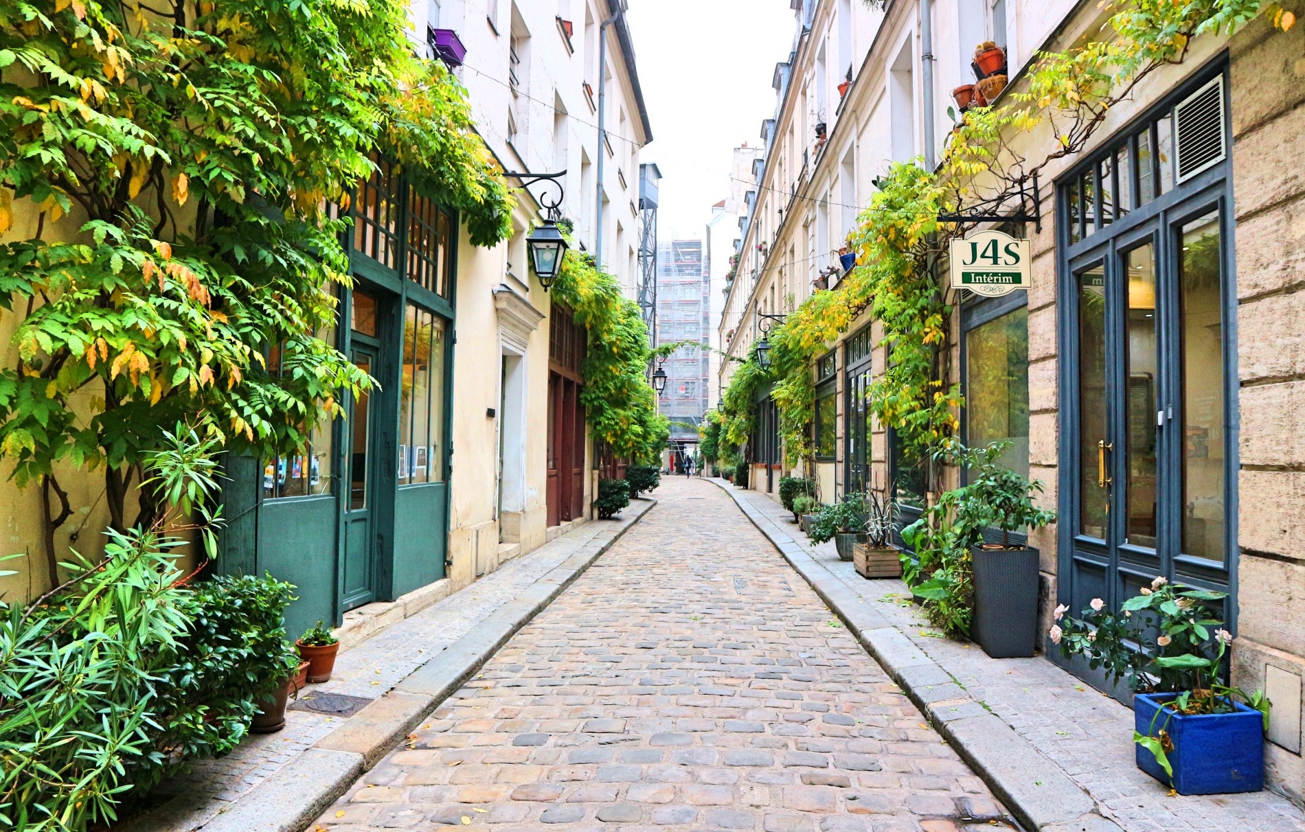 This is an image of a nicely-lined street with greenery, shops and cobblestone.