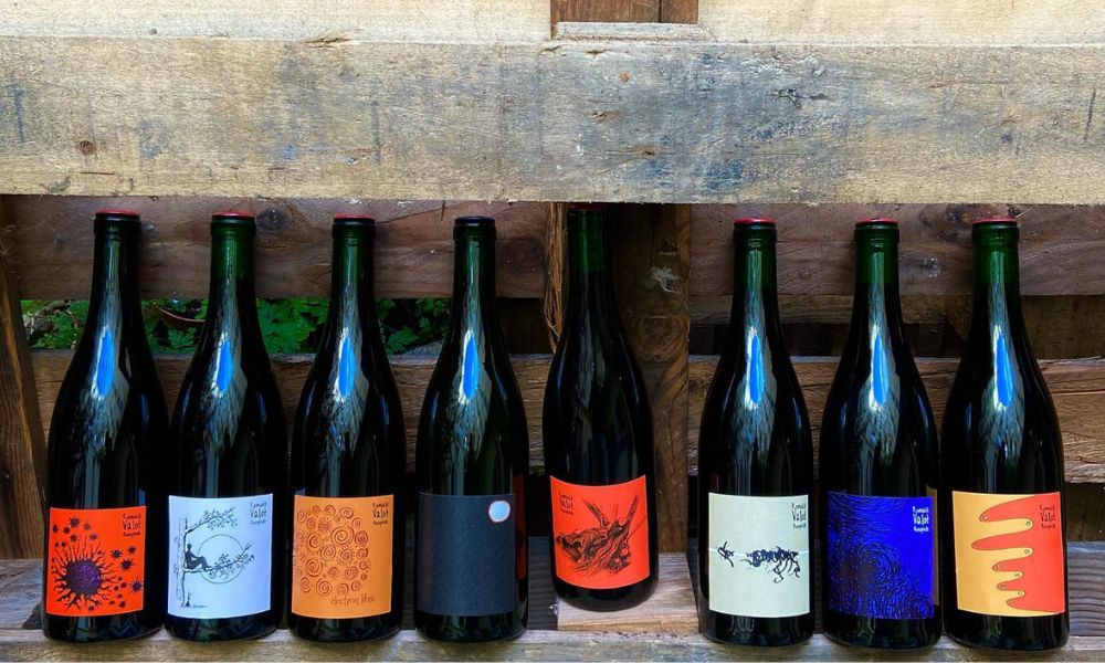 This is an image of a bunch of wine bottles perched on a wooden bench.