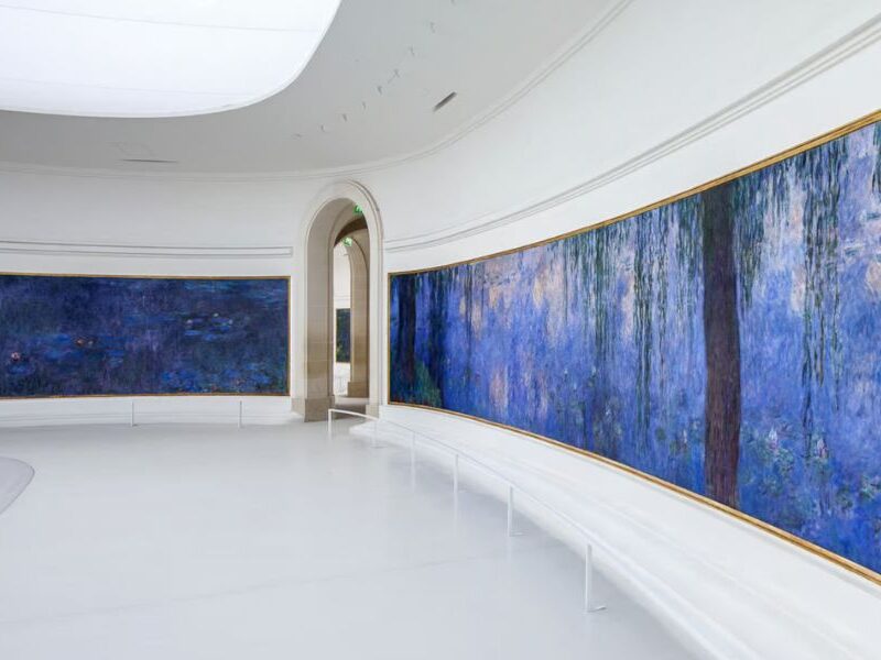 This is an image of a museum room with paintings of Monet's lillies all around the room.