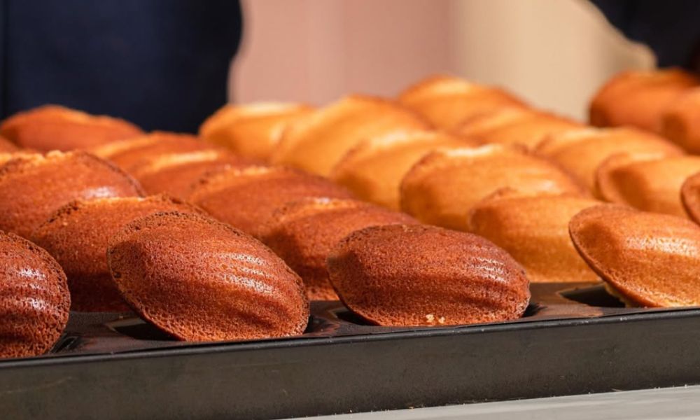 This is an image of perfectly-shaped oval madeleines.