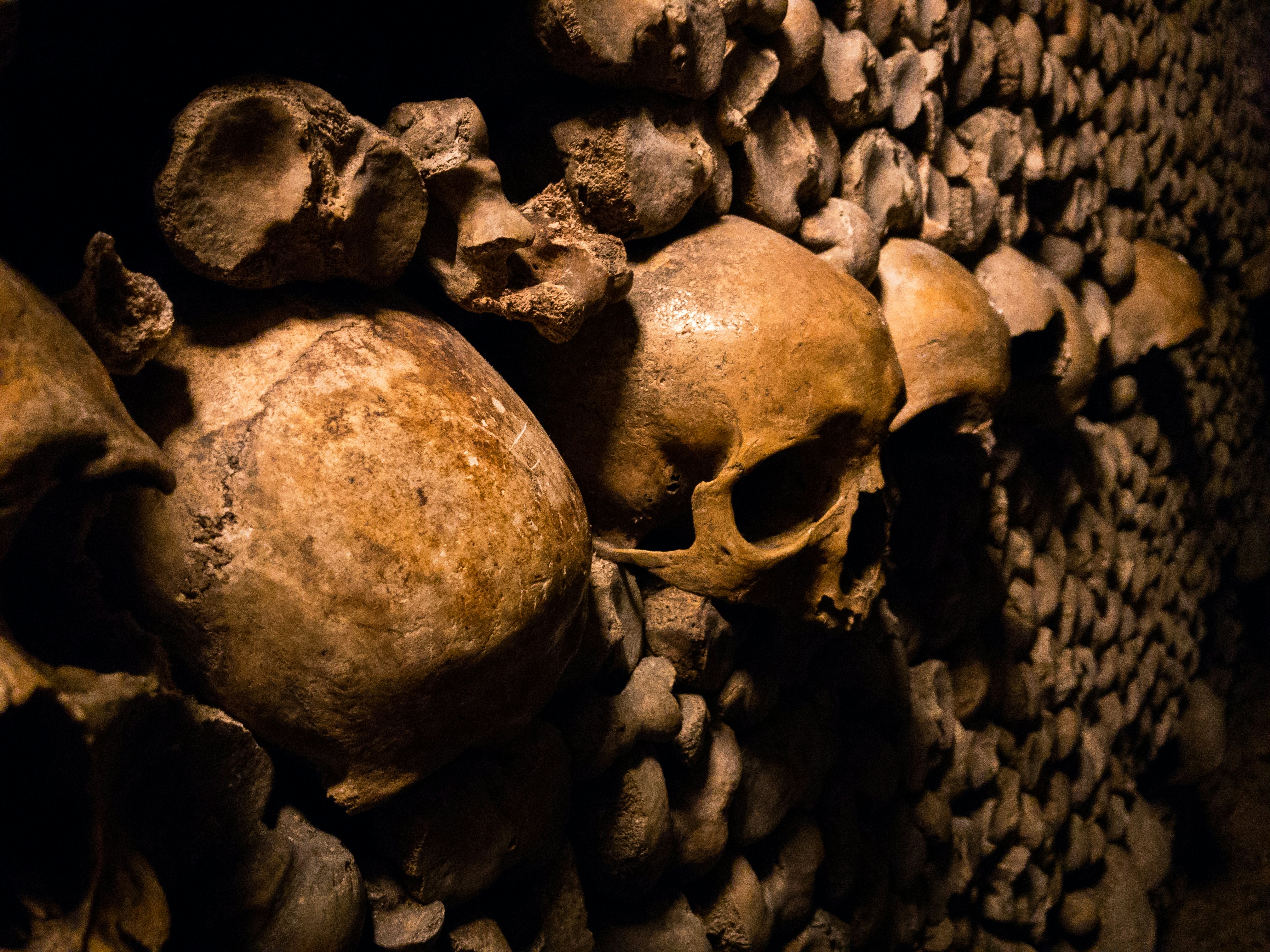 A wall filled with human skulls.
