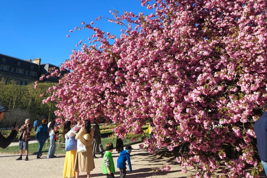 Top Things to Do in Paris in March