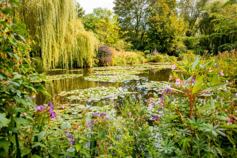 This is an image of Monet's flourishing garde full of greenery, flowers and lily pads on the surface of the pond.
