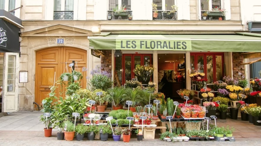 This is an image of a pretty flower shop with lots of plants and flowers and a French name.