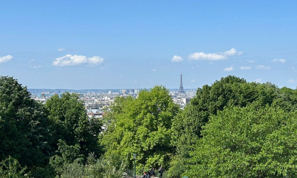 This is an image of a leafy view of the city. It's a view that is much more further out, so you only see a skyline view of the Eiffel Tower and lots of bushy trees below it.