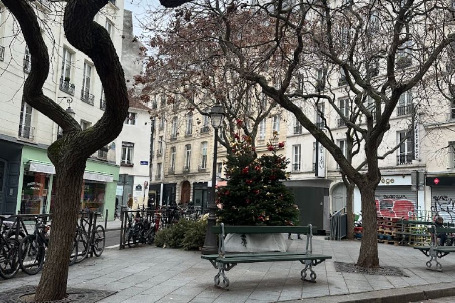 This is an image of a desolate square with a park bench, some Christmas trees and regular trees with no leaves on them. There are a few shops lining the square but they are closed as it appears to be early in the morning.