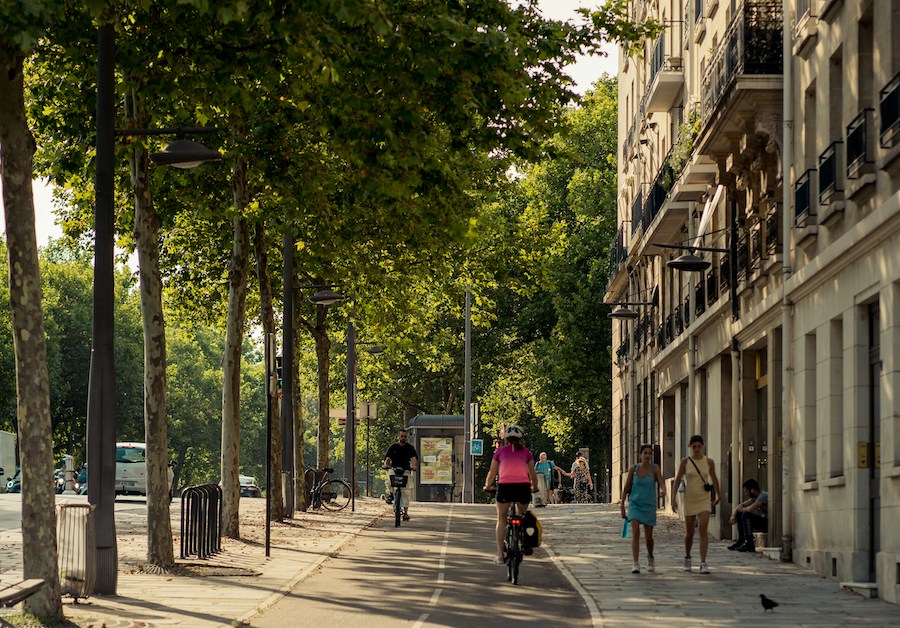 This is an image of a leafy street in Paris with cyclists on a bike path and a couple of pedestrians on the sidewalk.