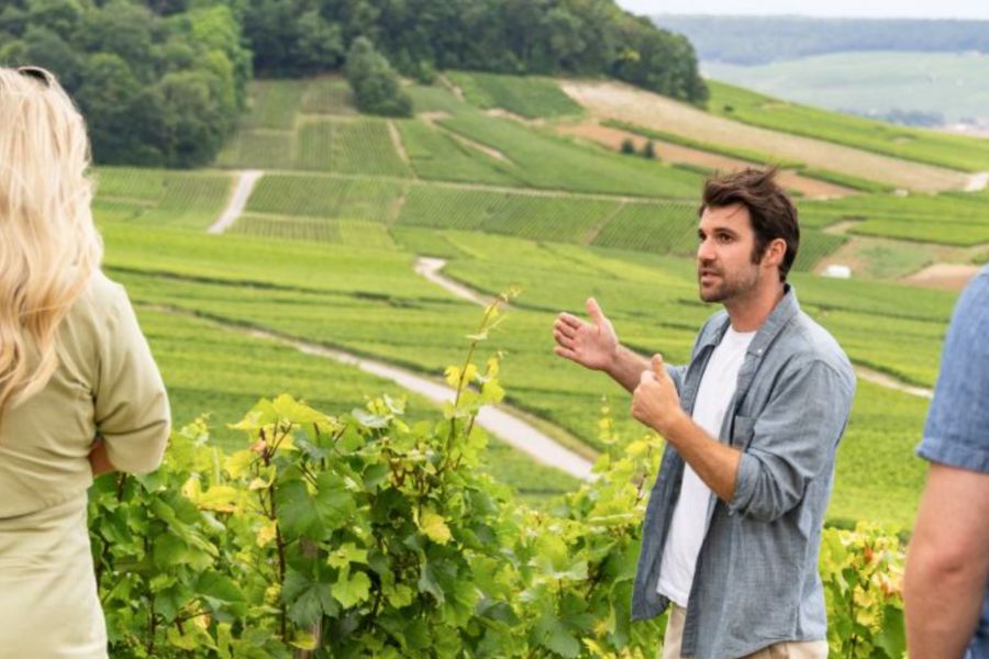 This is an image of a tour guide explaining wines to a tour group/. A lovely green vineyard backdrop sits behind him.